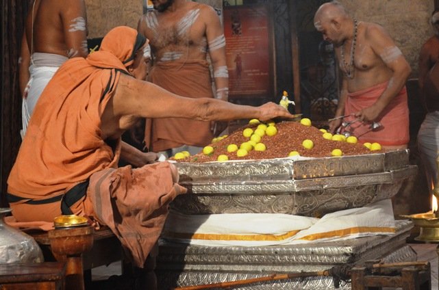 Vyasa Puja - Chaturmasya Vratam